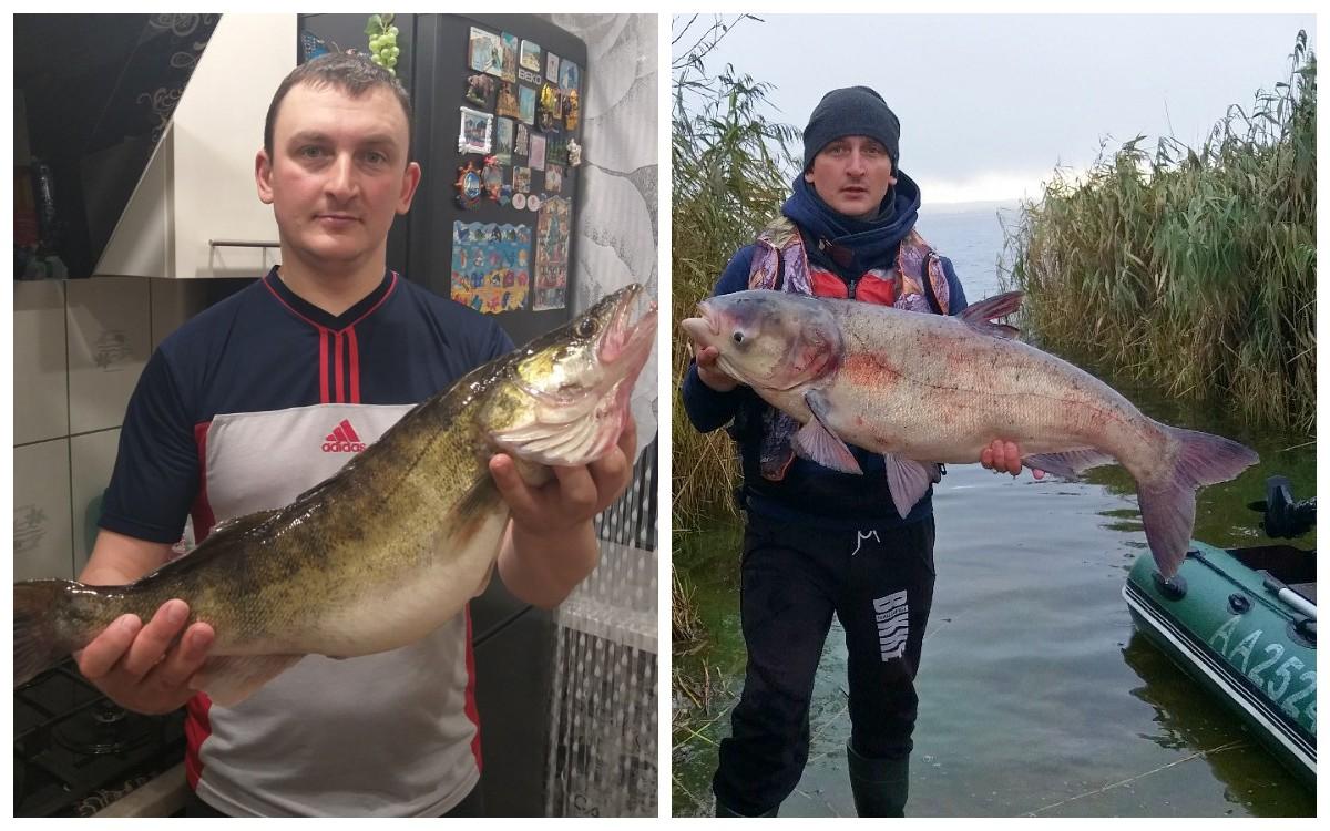 Судак пойман на Сельце, а толстолоб - в Зельвенском водохранилище