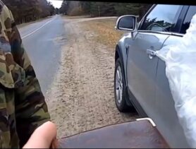 Путёвка на зайца, а застрелил косулю: охотника в Ганцевичском районе обвиняют