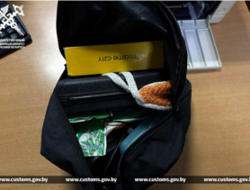 Пассажир на границе в Бресте не прошел контроль собаки