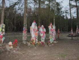 Культавыя дрэвы Палесся: Ізбійскі бор у Ганцавіцкім раёне