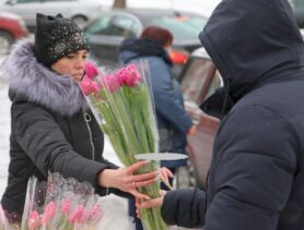 Тюльпанный фермер высказался о слухах, что в этом году цветок сильно подорожает