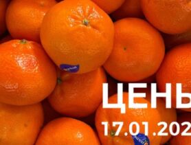 Что почём на оптово-розничном рынке в середине января