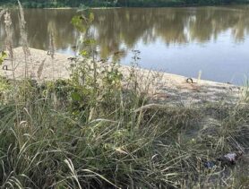 В Столинском районе можно купить берег реки Припять