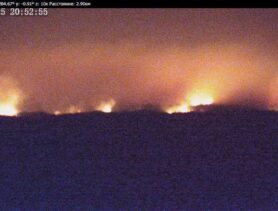 В Дрогичинском районе горит заказник