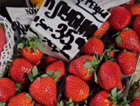 Клубника по 70 рублей. Какие цены на рынке в конце января