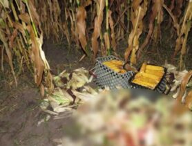 Судили охотника, подстрелившего человека в Лунинецком районе