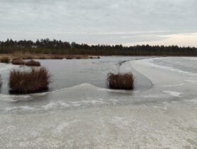 «Хорошая сработка 100 кг в виде напарника»: рыбаки открывают сезон твёрдой воды и иногда тащат друг друга