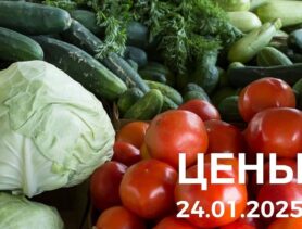 Рынок в Таборах: какие цены на фрукты и овощи 24 января 2025 года