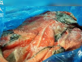 Белорусский лосось для России…. таможенники не разрешили