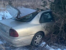 Молодой водитель погиб из-за лося в Дубровенском районе