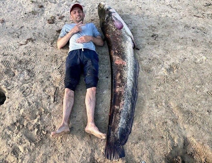 Сом Алексея Астюкевича