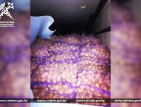 Россиянина с картошкой не выпустили из Беларуси