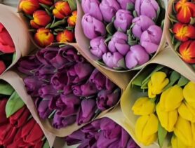 Какие цены на рынке в День влюблённых