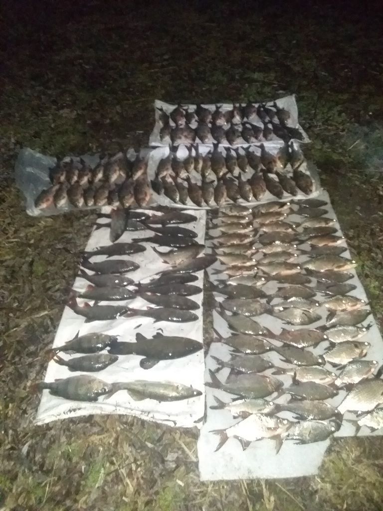 Улов браконьера в Лунинецком районе