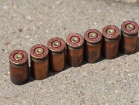 Ганцевчанина судили за патроны из родительского дома