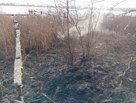 Человек погиб из-за горевшей травы в Малоритском районе
