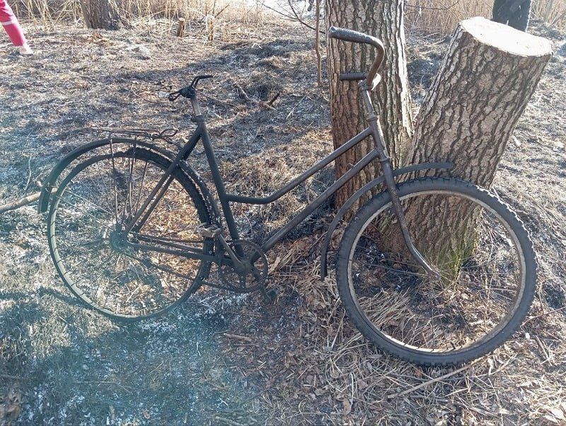 У дерева обгорел и велосипед