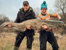 Рыбаки поймали сома 36 килограмм в Минской области