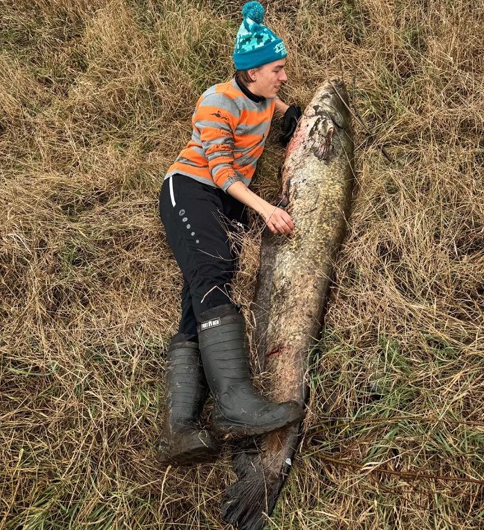 фото с сомом