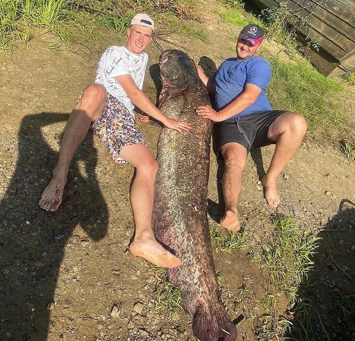 рыбалка в Припяти сом