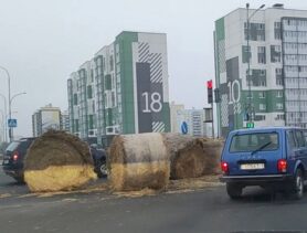 Трактор устроил сеновал на перекрёстке в Бресте