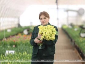В Ивацевичском лесхозе осваивают новый бизнес