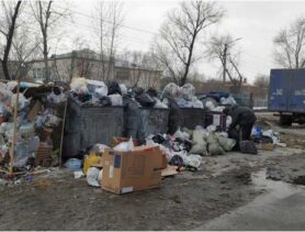 В России 15-летний подросток выбросил своего сына в мусорный бак