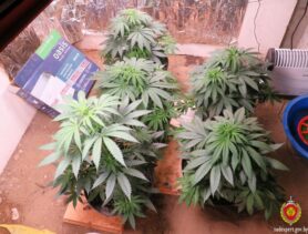 В гараже под Мозырем обнаружили нарколабораторию