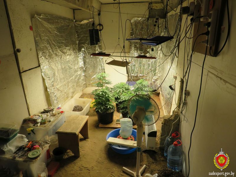 гаражная нарколаборатория