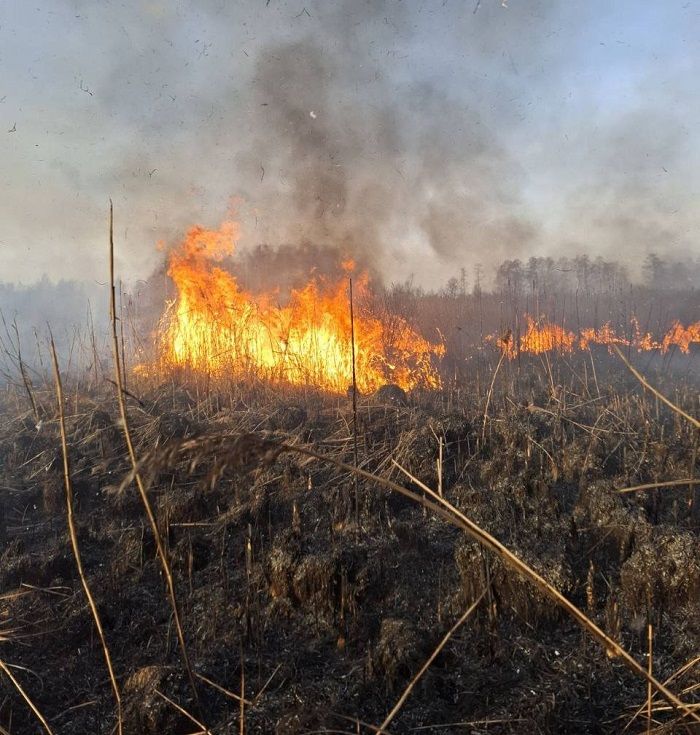 Болото горит