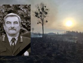 Сотрудник Ивацевичского лесхоза погиб при тушении пожара