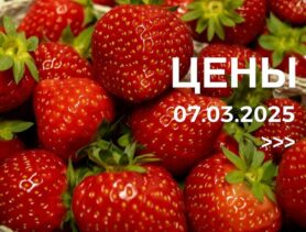 Почём фрукты и овощи на рынке в канун 8 марта