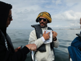 Дельфины под Лиссабоном – как проходит морская прогулка и сколько стоит