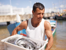 День с рыбаками в Кашкайше – как это устроено и стоит ли пробовать