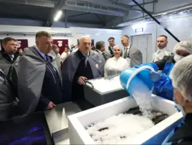 Беларусь уходит в форель: старые рыбхозы в убытках, новые – в планах