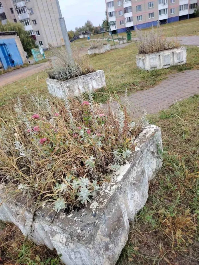 В Могилевской области раскрыли тайну вазонов. Пришлось обращаться к начальству