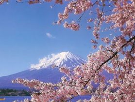 Япония — страна контрастов