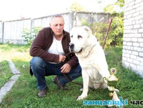 Заводчик волкодавов из Ганцевичей одержал сенсационную победу
