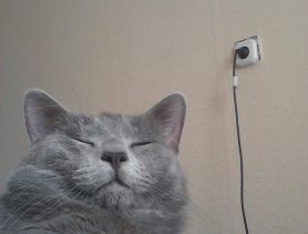 Когда Гоша с ноутбуком, трогать его нельзя