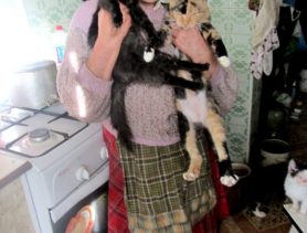 «Я не баюся памерці – баюся пакінуць без догляду сваіх коцікаў»