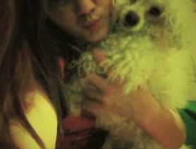 Пудель Лиза любит массаж и не любит расческу