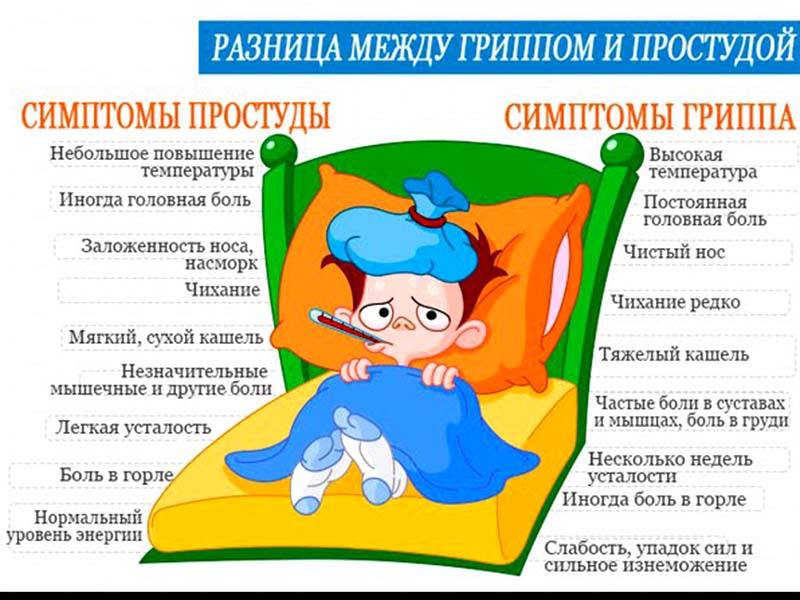 Как не заболеть нынешней зимой
