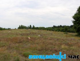 Ці ўключаць старадаўнія могілкі ў Малькавічах у спіс гісторыка-культурных каштоўнасцей?