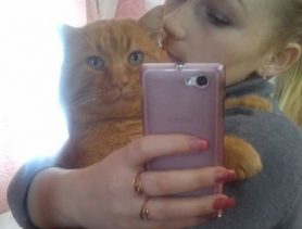 Кот Рыжик– вымогатель селфи