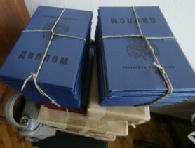 Пинчанин сделал карьеру с купленным дипломом