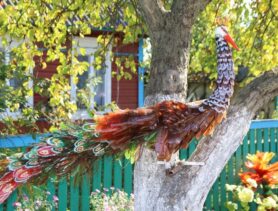Ганцевчане – люди с фантазией