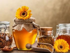 Прополис: лечение без химии
