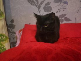 Выпала с балкона и пропала