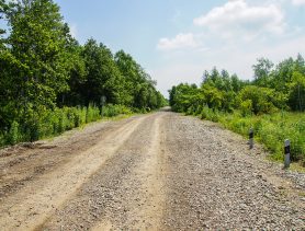 Когда между Мальковичами и Задубьем поправят дорогу?