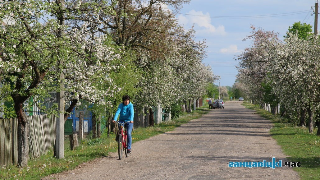 Яблони в Куково цветут каждую весну и радуют сельчан своим ароматом